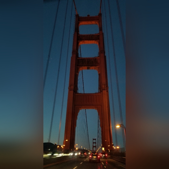 Meet your Posher, Serena - Picture 6 of 7